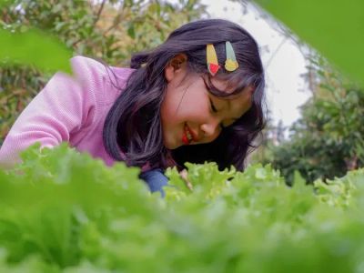 Zdrowe przekąski z własnej uprawy: Jak uczyć dzieci o jedzeniu w ekologicznym ogródku.