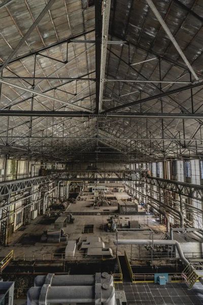 Dobrostan roślin w halach stalowych w praktyce