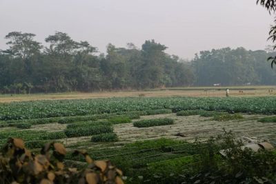 Ekologiczne kurniki z płyt PIR w praktyce