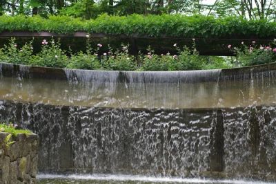 Nowoczesna fontanna ogrodowa z szumiącą wodą, otoczona bujną zielenią, wprowadzająca spokój.