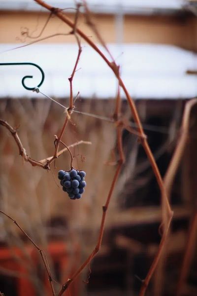 Inwestycja w hale z płyt PIR - widok poglądowy