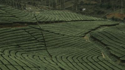 Mapowanie zasobności pól