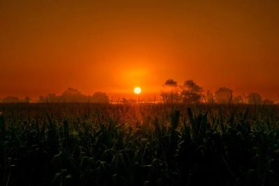 Odzysk ciepła z chłodni