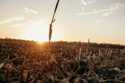 Odzysk ciepła z chłodni w praktyce