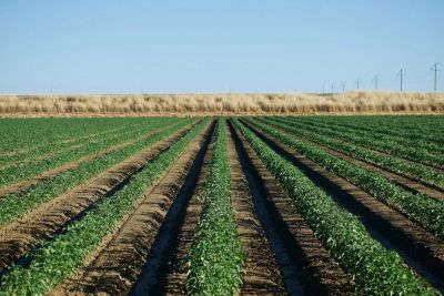 Optymalizacja termiki budynków