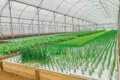 Optymalizacja termiki budynków - widok poglądowy