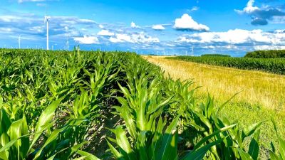 Oszczędność energii i PIR w praktyce