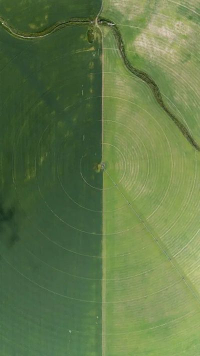 Precyzyjne nawadnianie korzeni