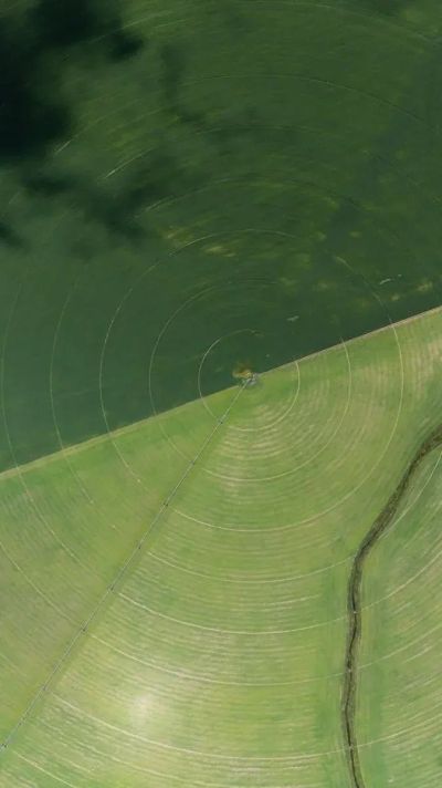 Precyzyjne nawadnianie korzeni - widok poglądowy