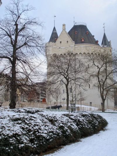 Robotyzacja hal udojowych - widok poglądowy