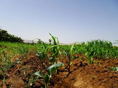 Zbiorniki na gnojowicę - widok poglądowy