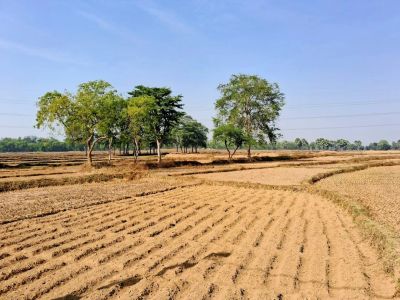 Zbiorniki na gnojowicę w praktyce