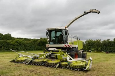 Zrównoważona materia organiczna - widok poglądowy